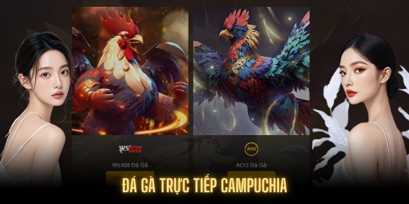 Giới thiệu Đá gà trực tiếp Campuchia tại 789Win